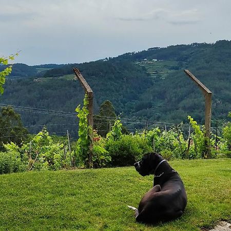 Casa Da Vina - Ribeira Sacra Βίλα Nogueira De Ramuin Εξωτερικό φωτογραφία
