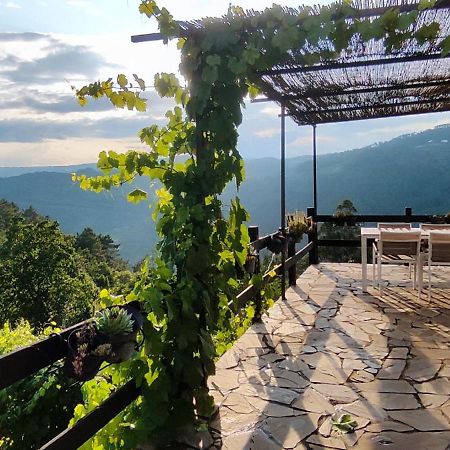 Casa Da Vina - Ribeira Sacra Βίλα Nogueira De Ramuin Εξωτερικό φωτογραφία