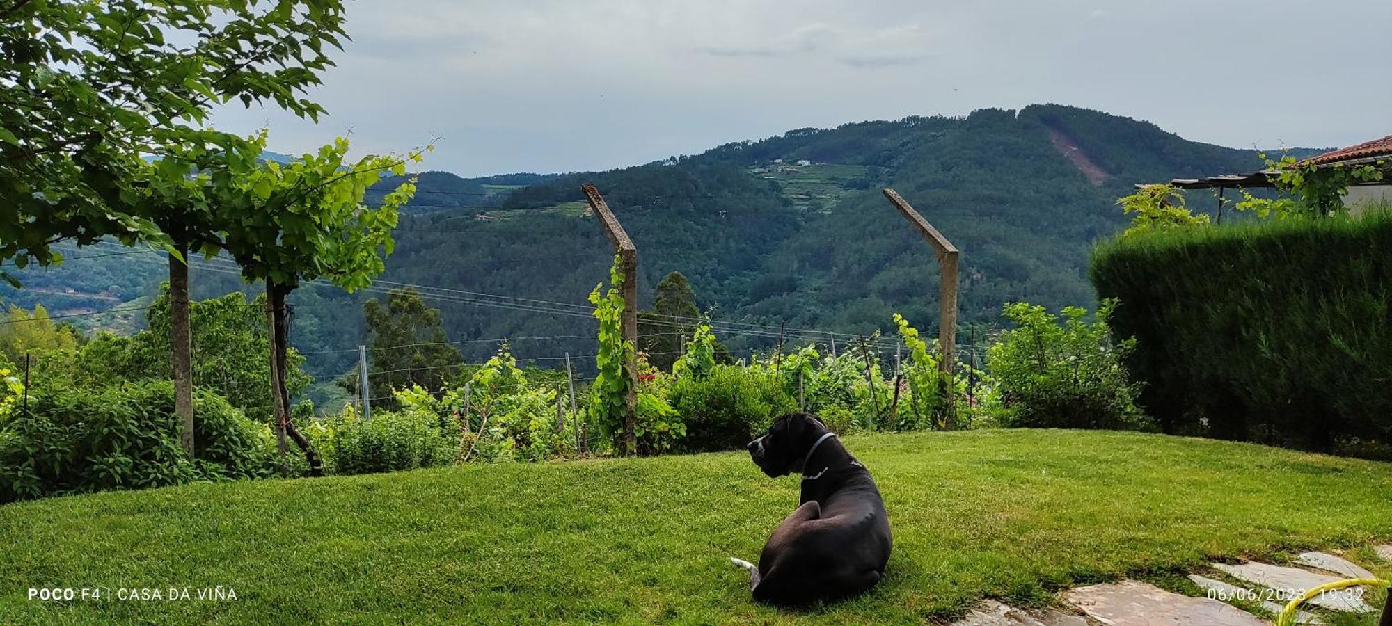 Casa Da Vina - Ribeira Sacra Βίλα Nogueira De Ramuin Εξωτερικό φωτογραφία