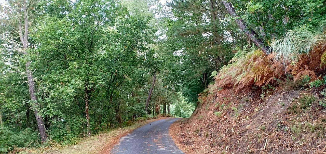 Casa Da Vina - Ribeira Sacra Βίλα Nogueira De Ramuin Εξωτερικό φωτογραφία