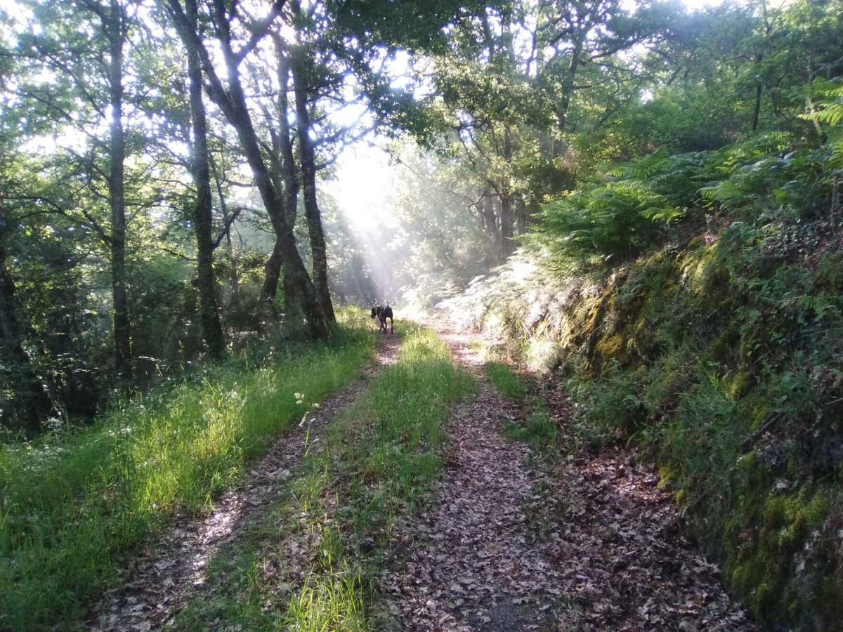 Casa Da Vina - Ribeira Sacra Βίλα Nogueira De Ramuin Εξωτερικό φωτογραφία