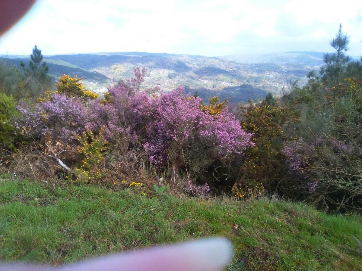Casa Da Vina - Ribeira Sacra Βίλα Nogueira De Ramuin Εξωτερικό φωτογραφία