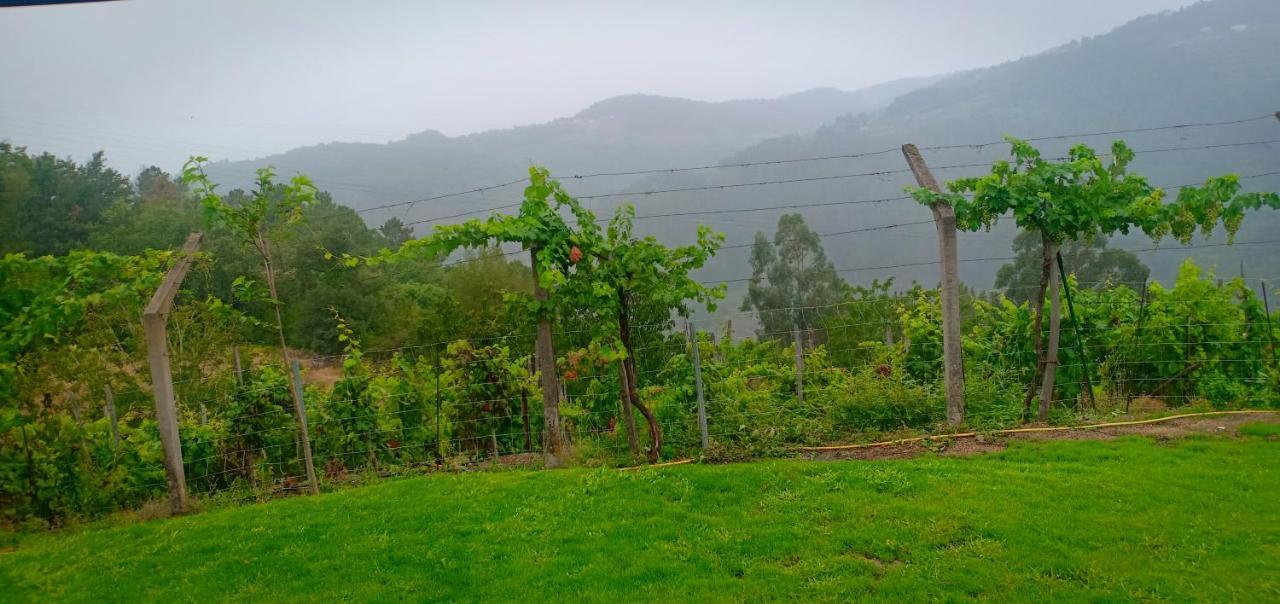 Casa Da Vina - Ribeira Sacra Βίλα Nogueira De Ramuin Εξωτερικό φωτογραφία