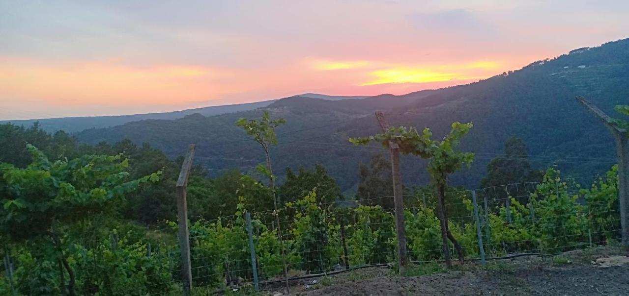 Casa Da Vina - Ribeira Sacra Βίλα Nogueira De Ramuin Εξωτερικό φωτογραφία