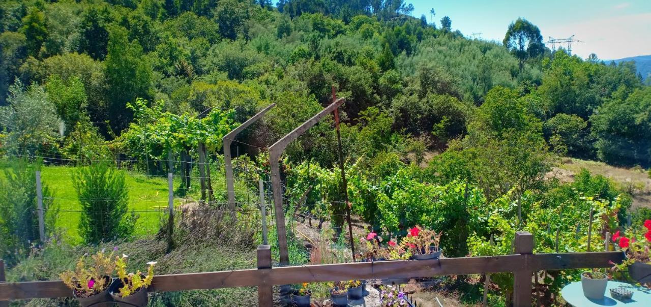 Casa Da Vina - Ribeira Sacra Βίλα Nogueira De Ramuin Εξωτερικό φωτογραφία